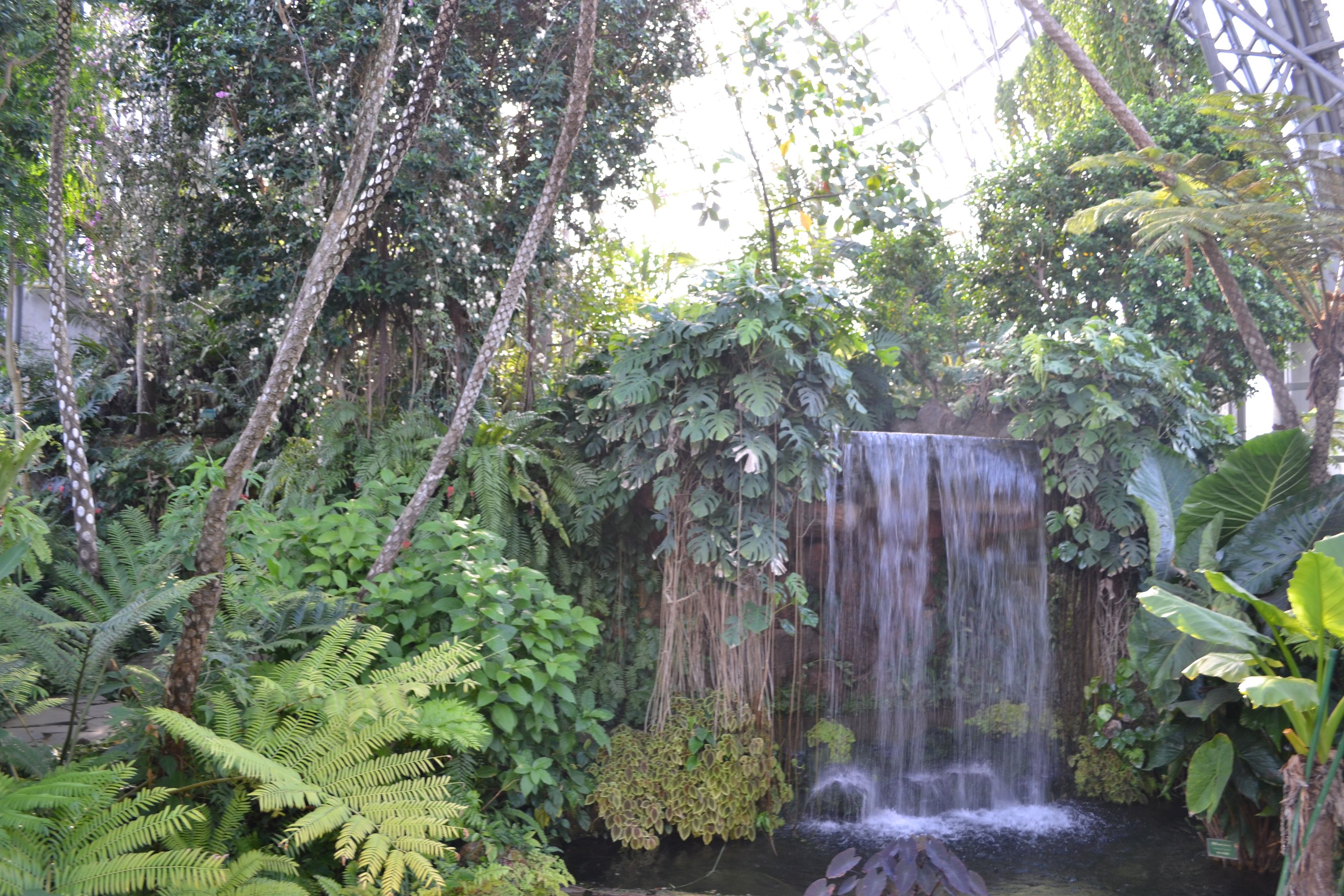 🌳 꿈의 섬 공원(유메노시마 코엔) 이미지 6